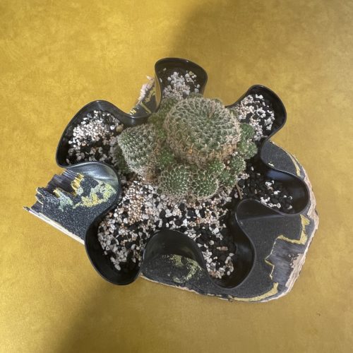 VINYL POT