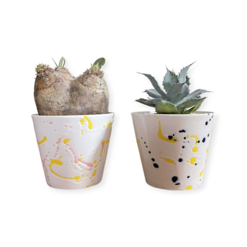 SPLASH POT